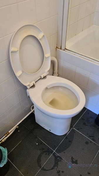  verstopping toilet Hoogland